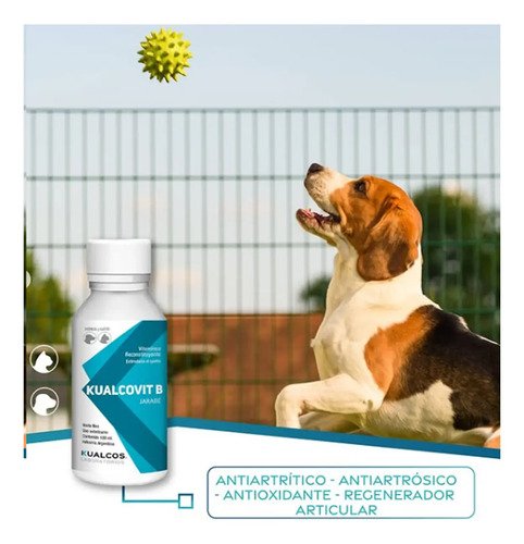 Complejo Vitaminico Kualcovit B 100 Ml X5 Unidades. - Image 3