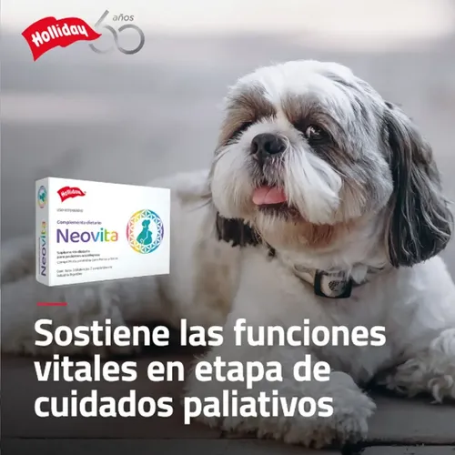 Neovita 21 Comprimidos Vitaminas Perros Gatos Senior Sin Gluten Holliday - Image 4