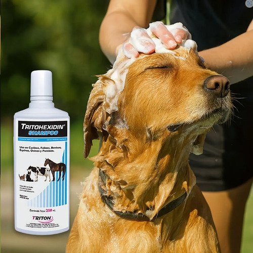Shampoo Para Gatos Perros Vacas Caballos Tritohexidin 250 Ml N/a - Image 2