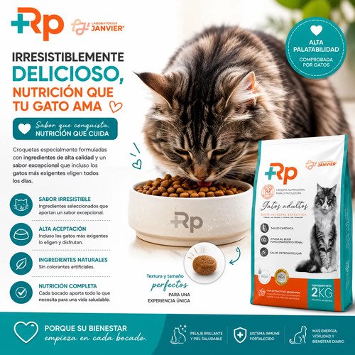 Alimento Rp Janvier Gato 2kg Salud Renal Cardiaco Articular - Image 4
