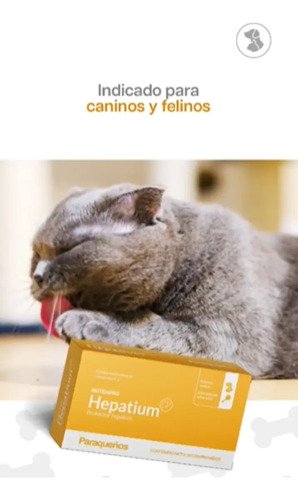Proagro Nutrapro Hepatium Protector Hepático Caninos/felinos Sabor Pollo - Image 3
