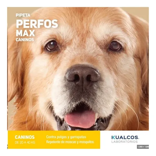 Pipeta Perfos Perros 20 A 40 Kg X3 Unid Pulgas Garrapatas Amarillo - Image 3
