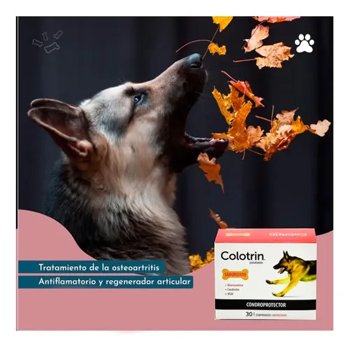 Colotrin Condroprotector Perros Gatos X30 Comprimidos - Image 2