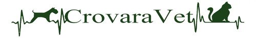 Shampoo Dermosedan Aloe Y Avena 200g + Crema Enjuague 200g Aloe Vera - Image 5