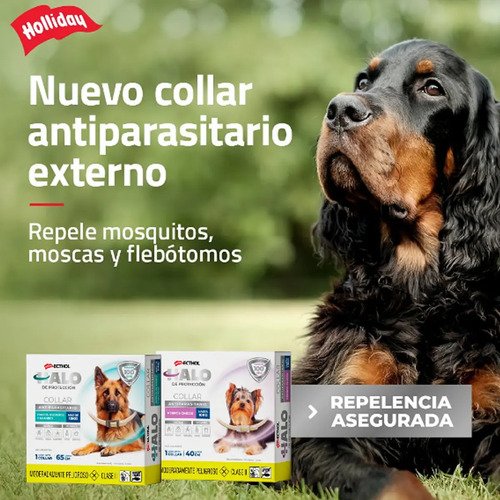 Collar Perros Chico Halo Ecthol Anti Pulgas Garrapatas 40 Cm Agua - Image 5