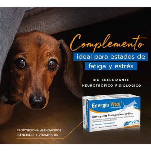Energía Vital Suplemento 30 Comp Caninos Y Felinos - Image 3