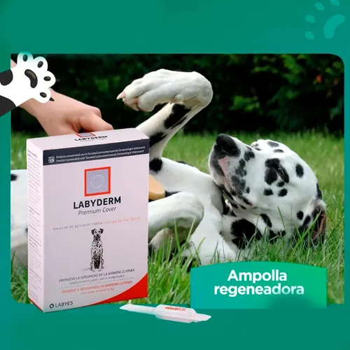 Labyderm Premium Cover Pipeta Para Piel Perros Regenerador - Image 5