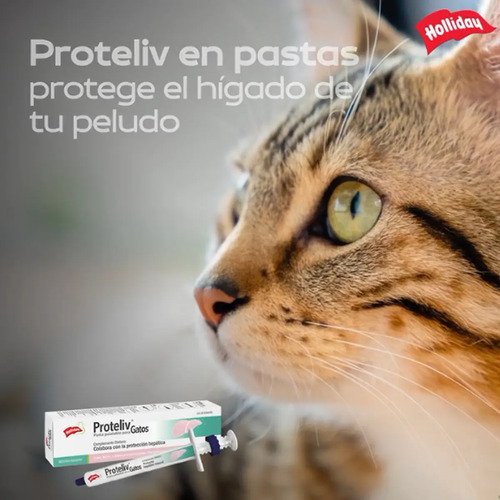 Proteliv Jeringa Complemento Hepatico Gatos 7g - Holliday - Image 4