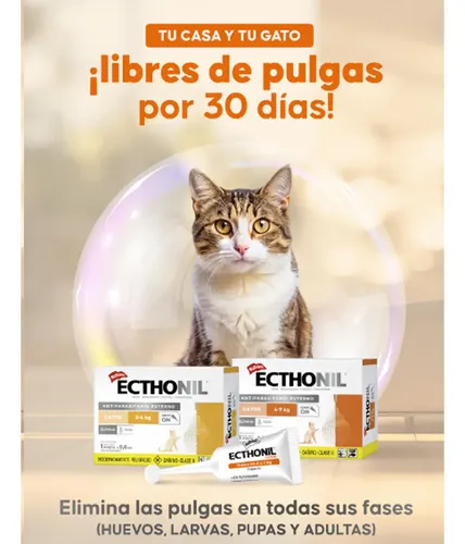 Pipeta Para Gatos Ecthonil 2 A 4 Kg X4uni Pulgas Garrapatas Beige - Image 3