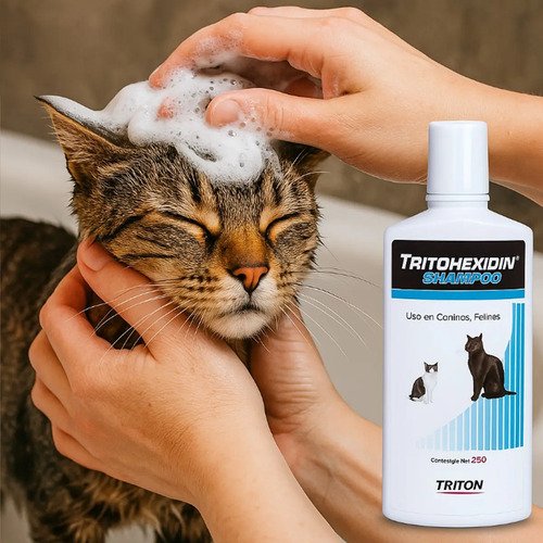 Shampoo Para Gatos Perros Vacas Caballos Tritohexidin 250 Ml N/a - Image 3