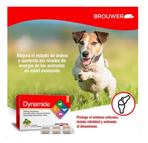 Dynamide Condroprotector Para Perros Y Gatos X30 Comprimidos - Image 4
