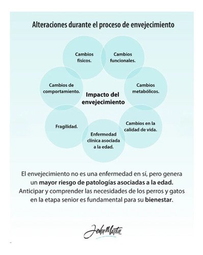 Condroprotector Seniorline Perros X40 Comprimidos Articular - Image 4