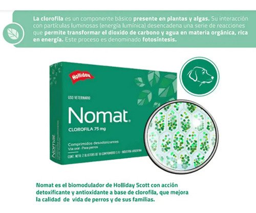 Nomat Perro X20 Comp Mal Aliento Olor Corporal Gases Verde Claro - Image 2