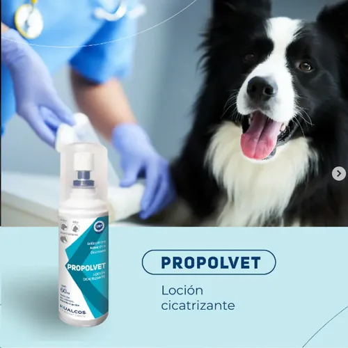 Propolvet Cicatrizante Antimicotico Perro Gato Propóleo 60ml Blanco - Image 4