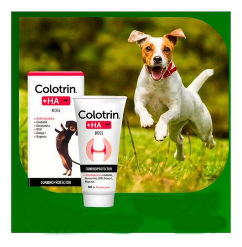 Colotrin Ha Condroprotector Palatable Perros Pasta 80grs - Image 4