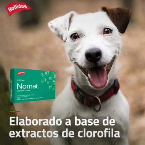 Nomat Perro X20 Comp Mal Aliento Olor Corporal Gases Verde Claro - Image 7