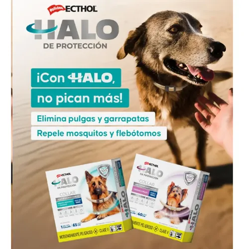 Collar Perros Chico Halo Ecthol Anti Pulgas Garrapatas 40 Cm Agua - Image 6