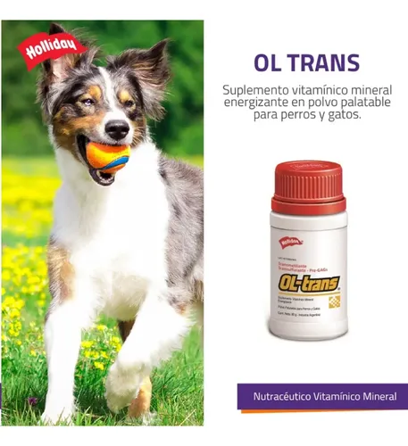 Holliday Ol Trans 80 G Perros Y Gatos Protector Articular - Image 6
