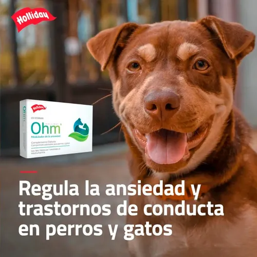 Ohm Perros Y Gatos Ansiedad X21 Comprimidos Palatables - Image 2