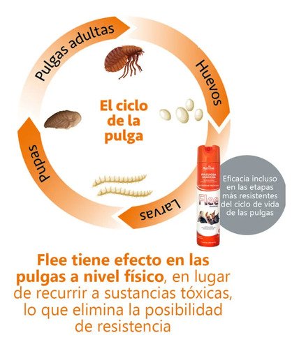 Flee Pulguicida Acaricida Aerosol Control Pulgas Ambiental - Image 4