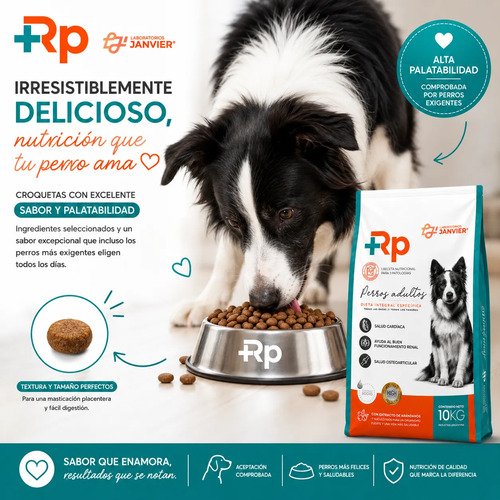 Alimento Rp Perro Adulto X2kg Salud Renal Cardiaco Articular - Image 5