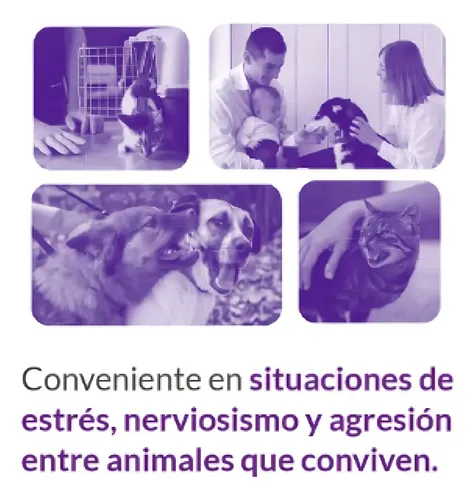 Nutrapro Relaxium X 30 Comp. Perro Gato - Proagro - Image 4