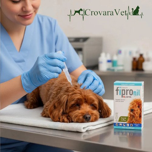 Pipeta Para Perros Pequeños Labyes Fipro 1 A 10 Kg Pack X2 Blanco - Image 2