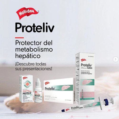 Proteliv Gotas 15ml Hepatoprotector Perros Gatos Holliday - Image 3