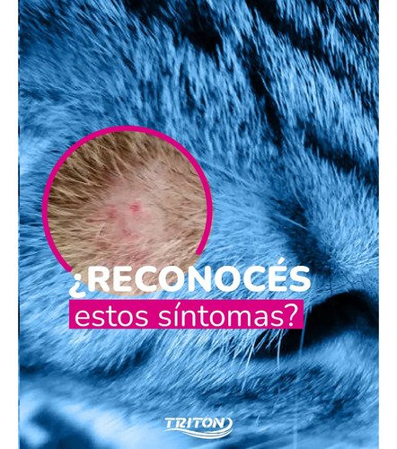 Hidrodermyl Loción Hidratante Antiseborreico Perros Y Gatos Agua - Image 4