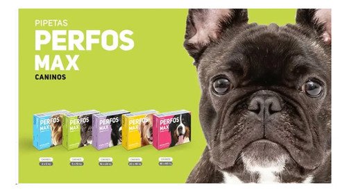 Pipeta Para Perro Antipulgas Perfos 5 A 10kg Combo X3u Verde - Image 4
