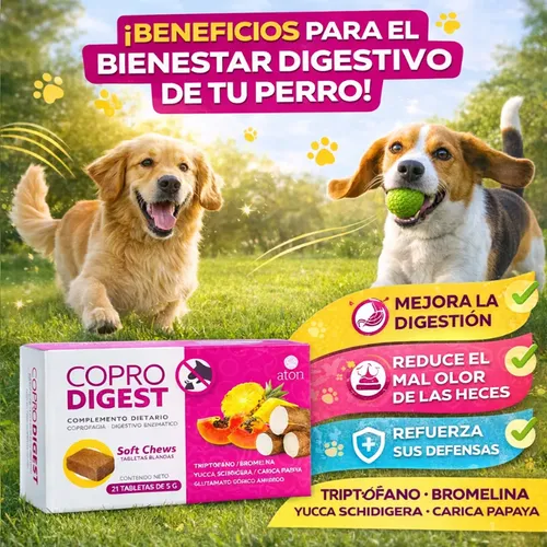 Complemento Dietario Coprofagia Coprodigest Comprimido Perro - Image 2