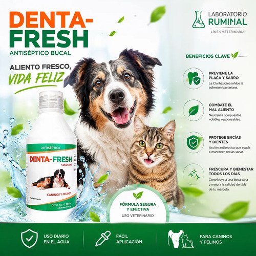 Denta Fresh Enjuague Bucal Higiene Perros Gatos 250ml Pollo - Image 4