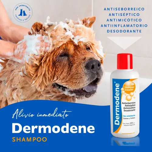 Shampoo Perros Gatos Dermodene Hipoalergenico Antiseborreico Coco - Image 5