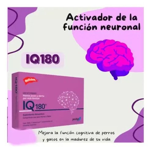 Holliday Iq180 Suplemento Neuroprotector Para Perros Y Gatos 21 Comprimidos - Image 4