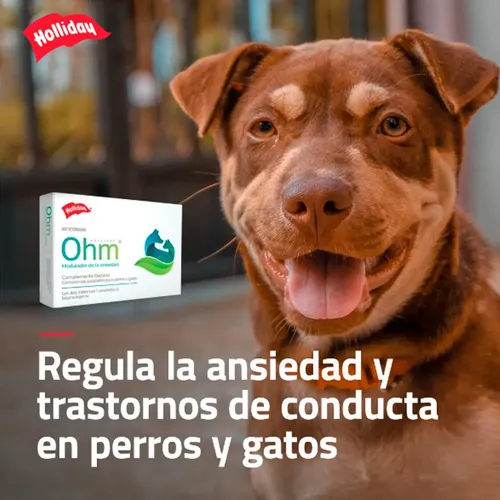 Feromonas Ohm Spray Perro X 90 Ml Calmante Natural - Image 5