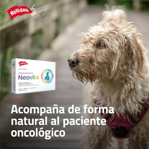 Neovita 21 Comprimidos Vitaminas Perros Gatos Senior Sin Gluten Holliday - Image 5