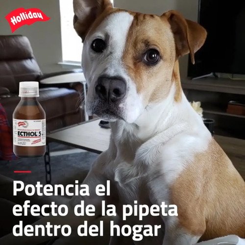 Ecthol 5 X 120ml X3 Pulguicida Garrapaticida Ambiental Perro - Image 5
