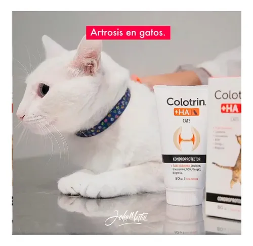 Colotrin Ha Gatos Condroprotector Palatable Pasta 80grs - Image 5