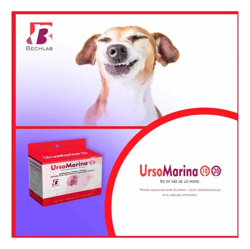 Ursomarina 10 Hepatoprotector Para Perros Y Gatos X50 Comp - Image 4