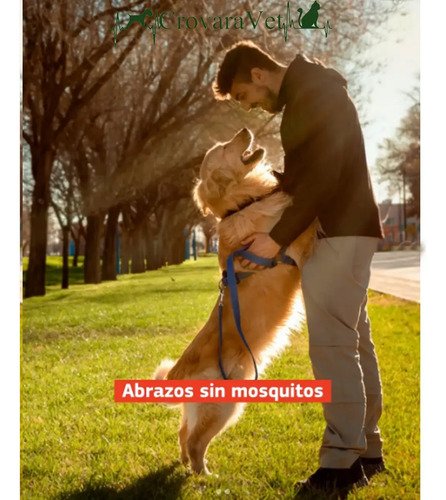 Protech Spray 100ml Pulgas Garrapatas Mosquitos Perro Labyes Blanco - Image 6