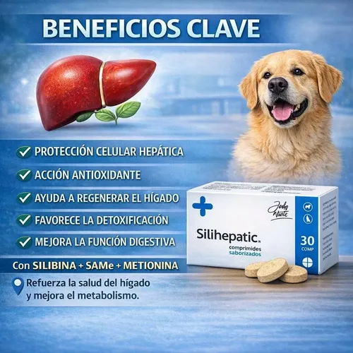 Silihepatic Hepatoprotector Para Perros Gatos 30 Comp - Image 2