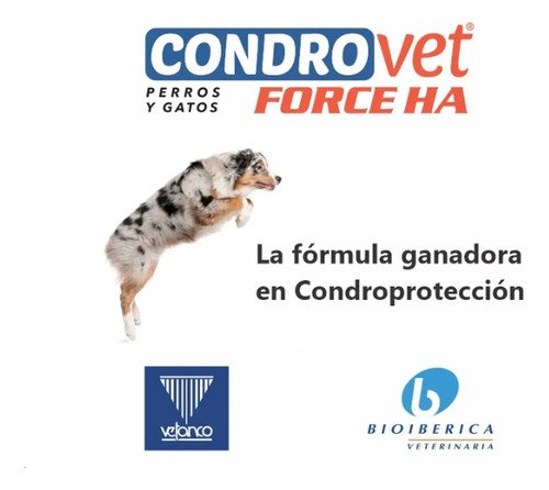 Condrovet Force Ha X 10 Comprimidos Perros Condroprotector - Image 5