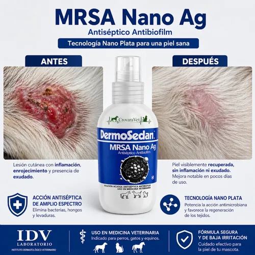 Dermosedan Spray Nano Ag Perros Gatos Dermatitis Herida Piel Blanco - Image 2