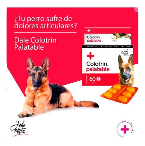 Colotrin Condroprotector Perros Gatos X30 Comprimidos - Image 3