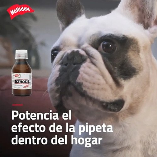 Ecthol 5 X 120ml X3 Pulguicida Garrapaticida Ambiental Perro - Image 4