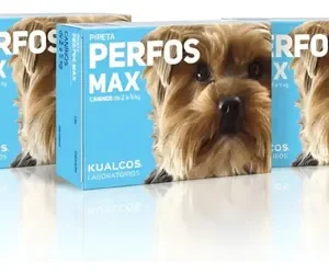 Pipeta Para Perro Antipulgas Perfos 2 A 5kg Combo X3u Perfos 2 A 5