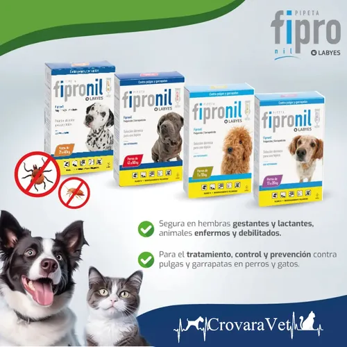 Pipeta Fipro Perros Hasta 10 Kg Pulgas Garrapatas Mosquitos Celeste - Image 2