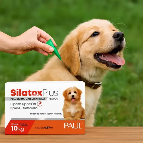 Pipeta Silatox Plus Perros 2 A 10kg Pulgas Garrapatas Moscas Naranja - Image 2