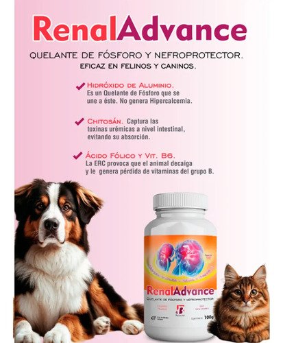 Pack X 2 Renal Advance 100gr Polvo - Bechlab - Image 5