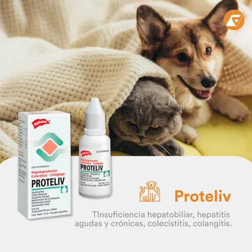 Proteliv Gotas 15ml Hepatoprotector- Holliday - Image 7